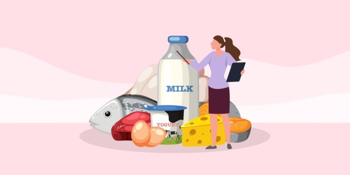 High-Protein Keto Diet Explained for Beginners A Comprehensive Guide